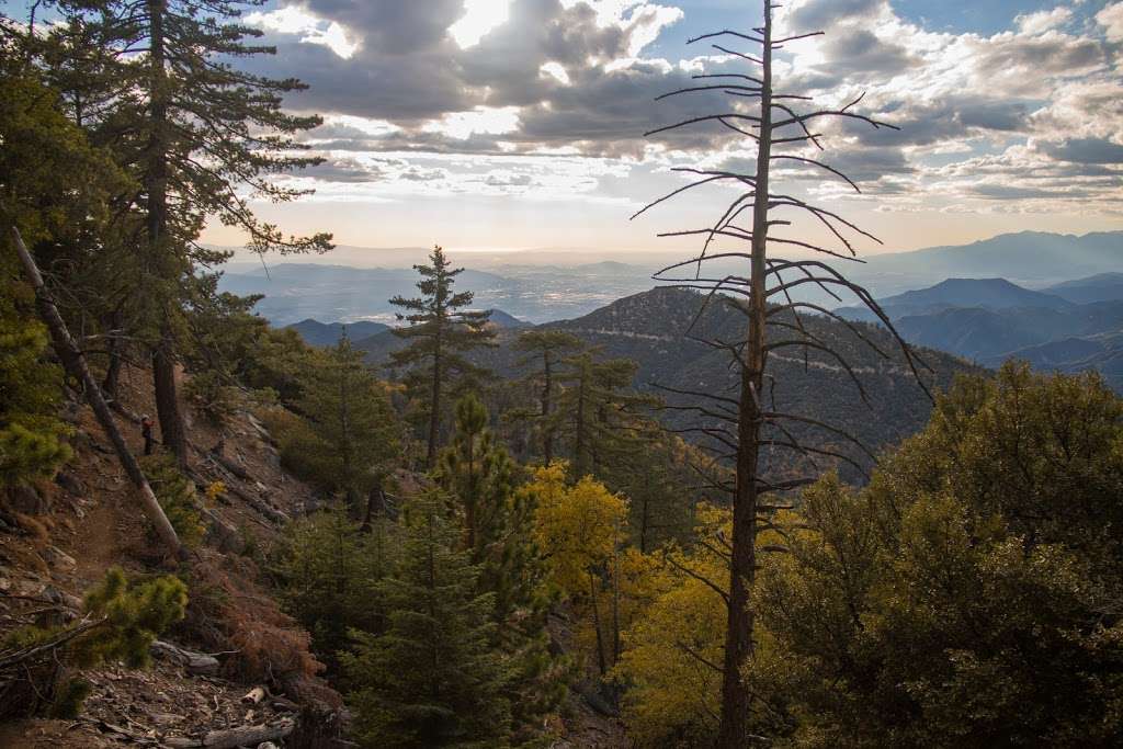 San Bernardino Peak Trail 1W07 | San Bernardino Peak Divide Trail, Angelus Oaks, CA 92305, USA | Phone: (909) 382-2882