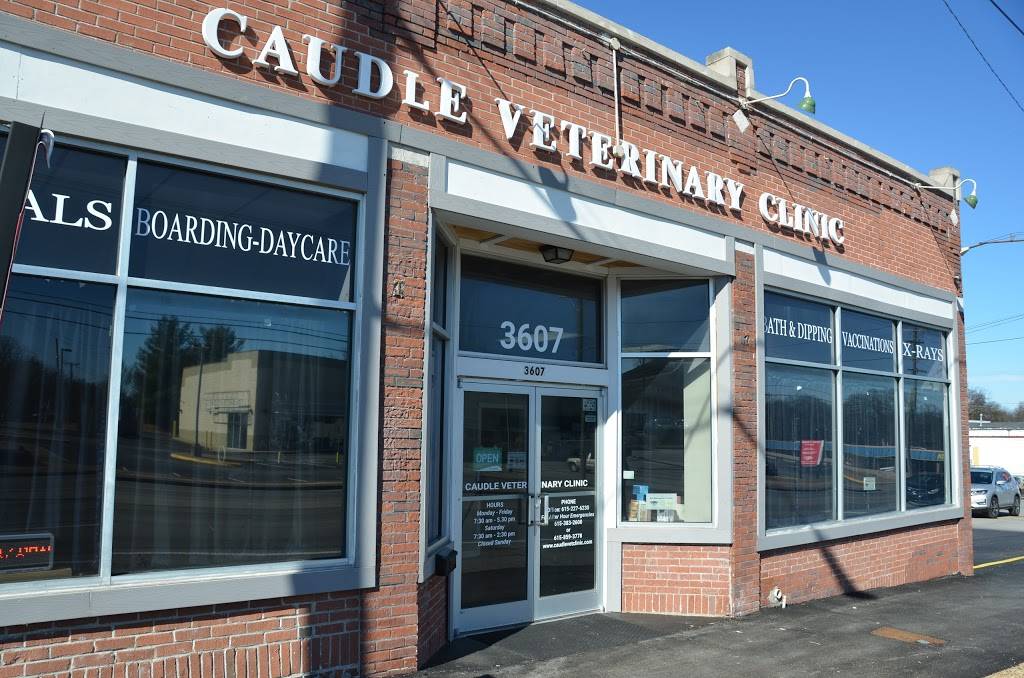 Caudle Veterinary Clinic | 3607 Gallatin Pike, Nashville, TN 37216, USA | Phone: (615) 227-6230