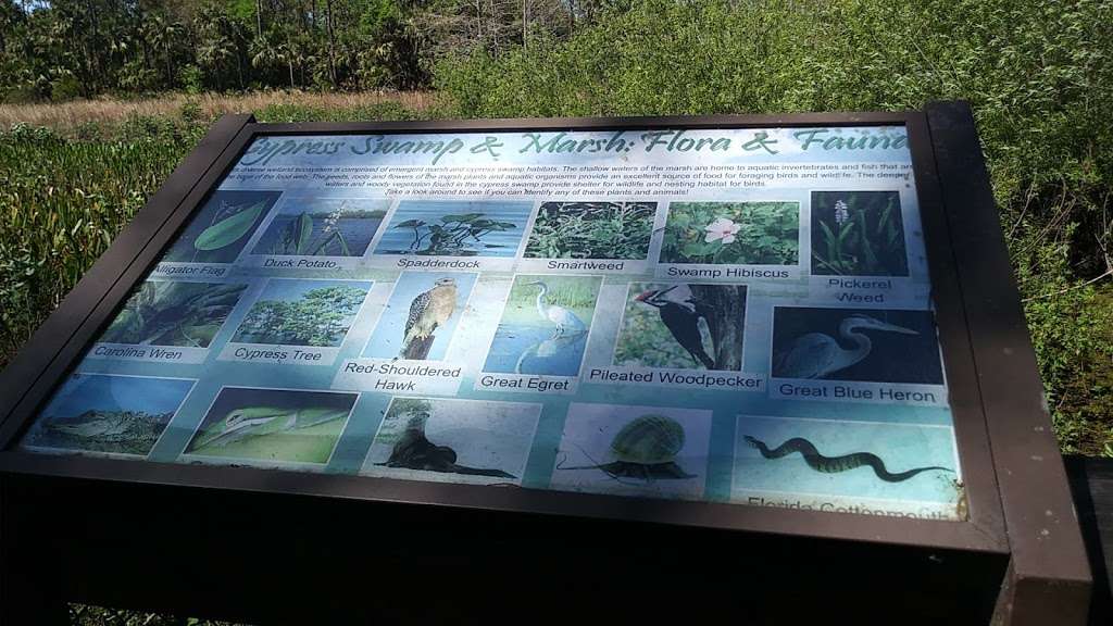 Dupuis Boardwalk & Observation Platform | Florida, USA