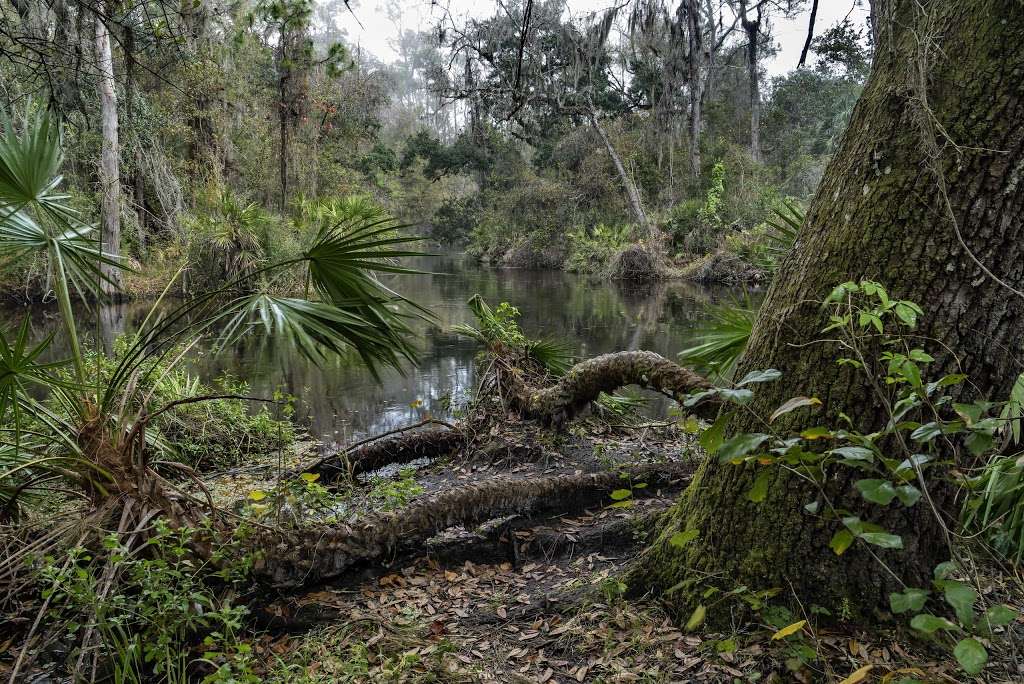 Shingle Creek Regional Park - Ruba | 4267 Yates Rd, Kissimmee, FL 34741 | Phone: (407) 518-2501