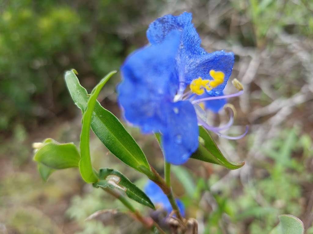 The Terrace Hiking Trail | Vía Fortuna, Austin, TX 78746, USA | Phone: (512) 974-6700