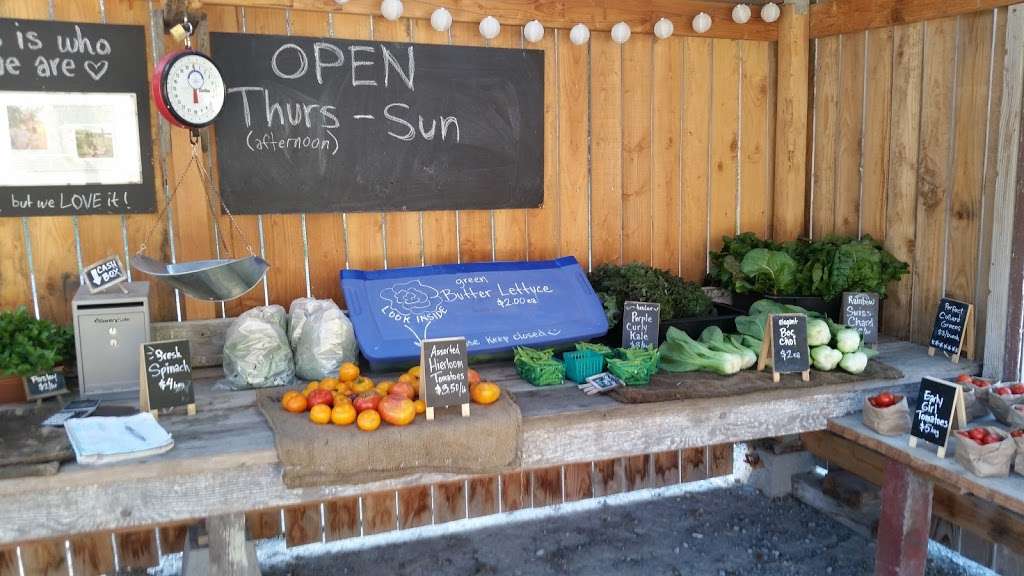 Little Wing Farm Stand | Point Reyes Station, CA 94956, USA