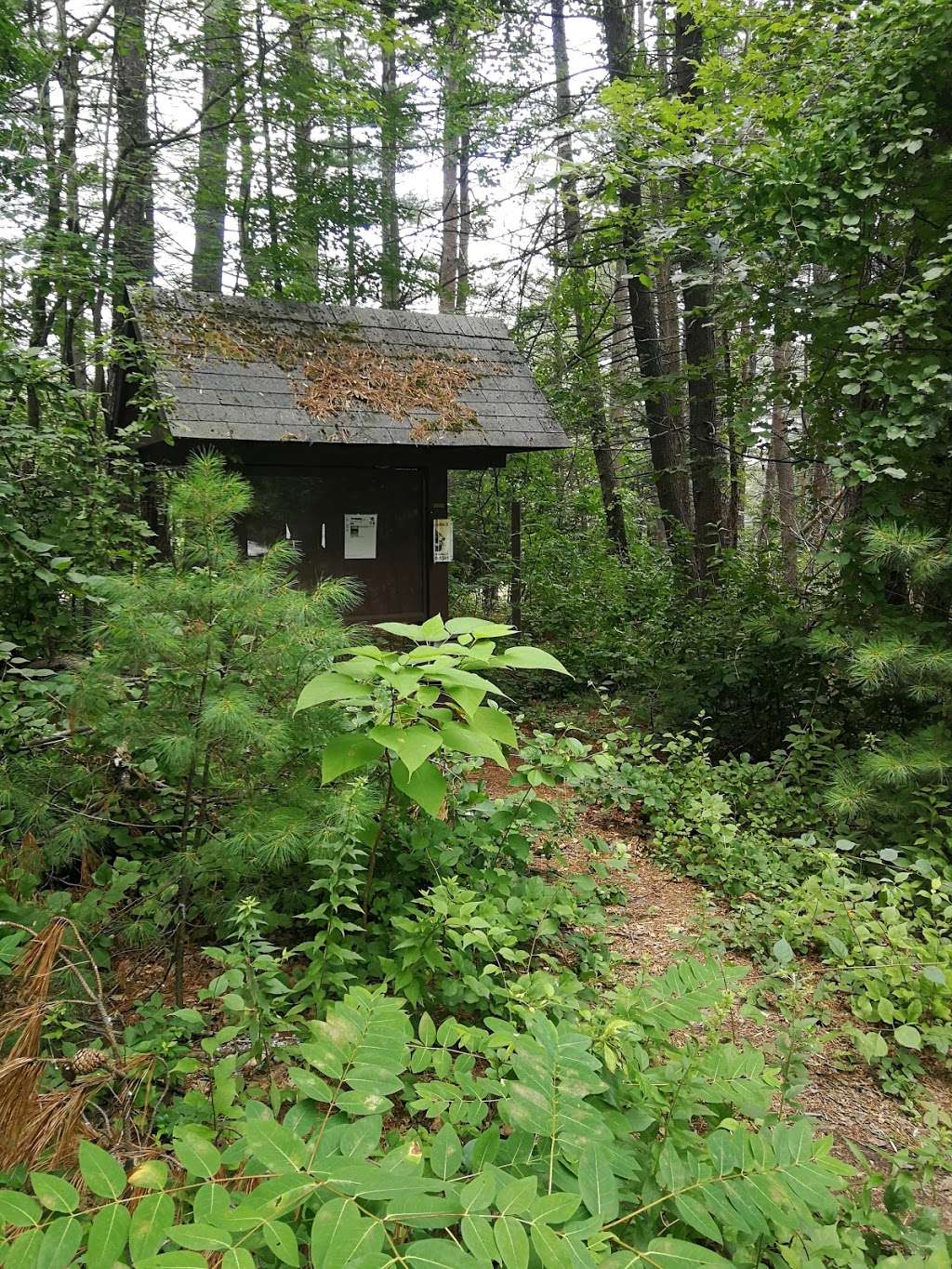 Weisblatt Conservation Land | 625-, 655 Boston Post Rd, Sudbury, MA 01776, USA Weisblatt Conservation Land | 625-, 655 Boston Post Rd, Sudbury, MA 01776, USA