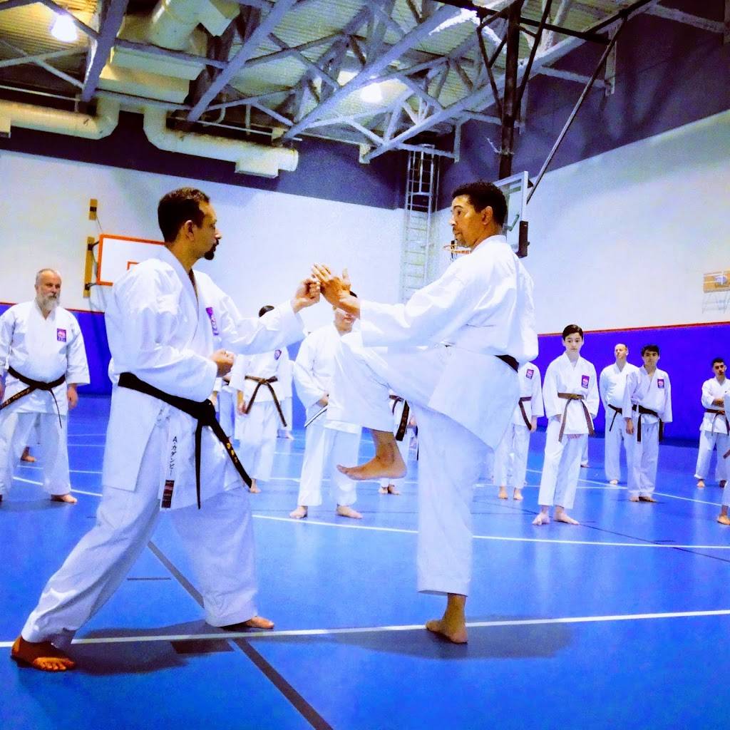 SEIWAKAI KARATE of SILICON VALLEY | 110 Jackson St, San Jose, CA 95112, USA | Phone: (408) 430-3828