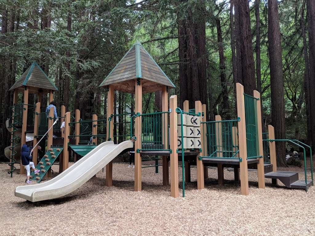 Old Mill Park | 352 Throckmorton Ave, Mill Valley, CA 94941 | Phone: (415) 383-1370