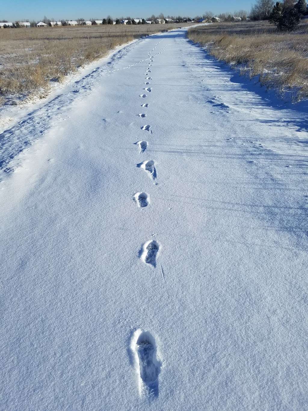 Kneebone Open Space | 11132-, 11298 Arapahoe Rd, Lafayette, CO 80026, USA | Phone: (303) 419-8455