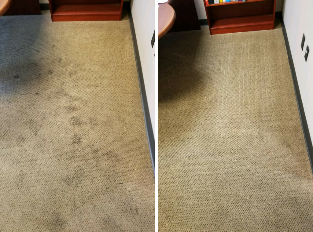 A1 Carpet cleaner & Upholstery Specialists | 1110 6th Ave S, Lake Worth, FL 33461 | Phone: (561) 421-1377