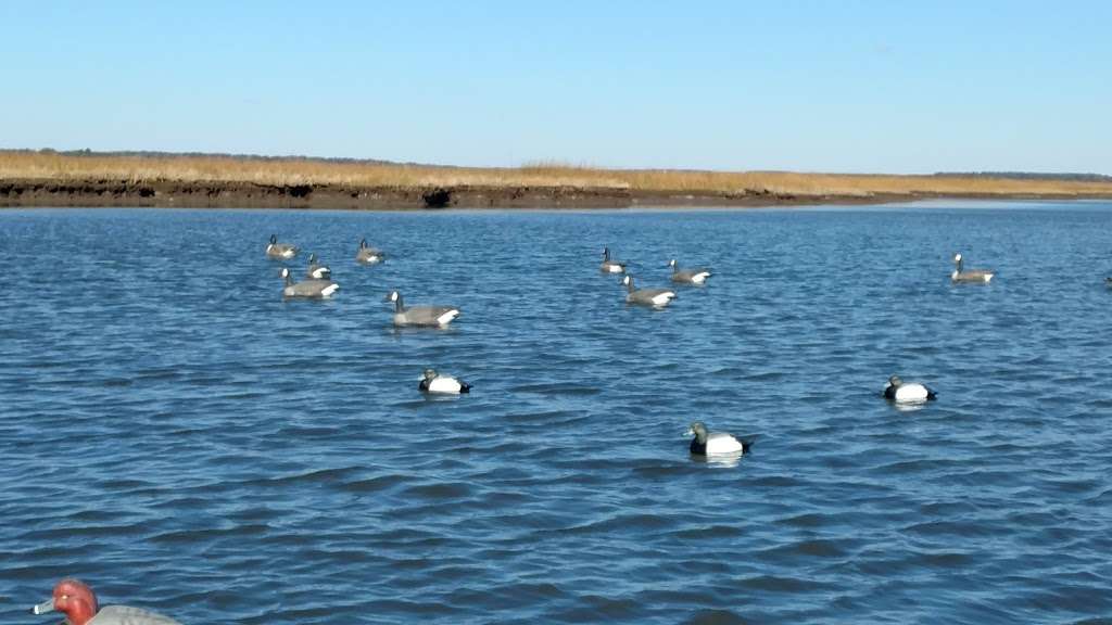 Dameron Marsh Natural Area Preserve | Kilmarnock, VA 22482, USA | Phone: (804) 786-7951