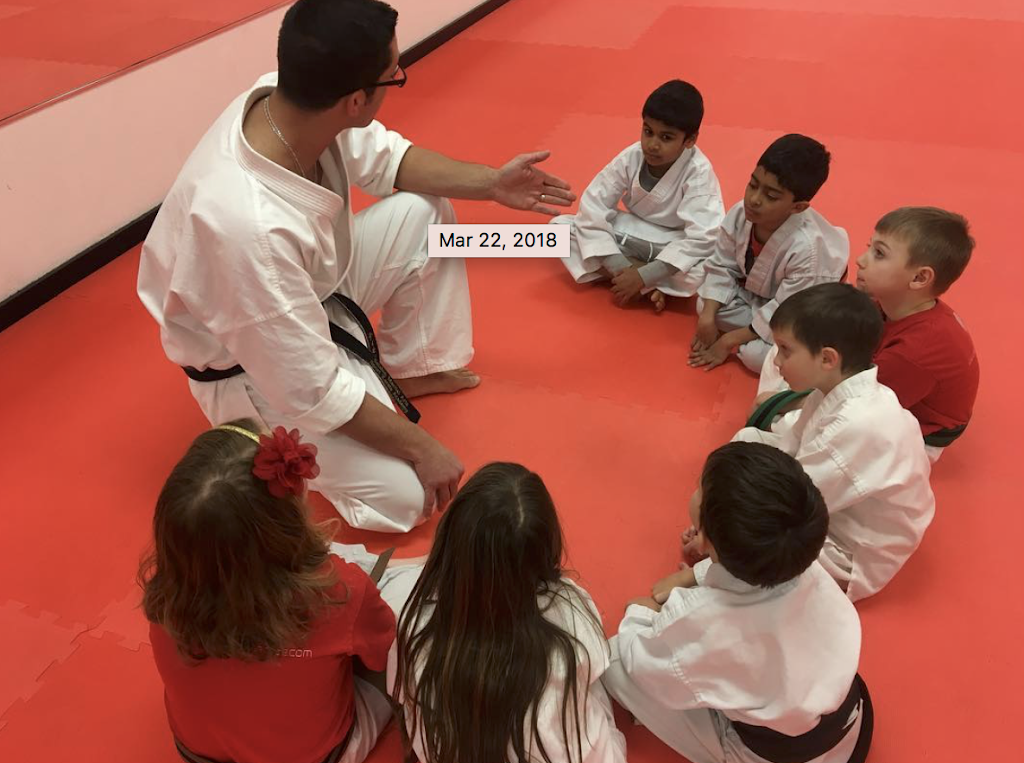 Seishin Martial Arts / Sport Karate Academy | 74 Main St, Medway, MA 02053, USA | Phone: (508) 533-1501