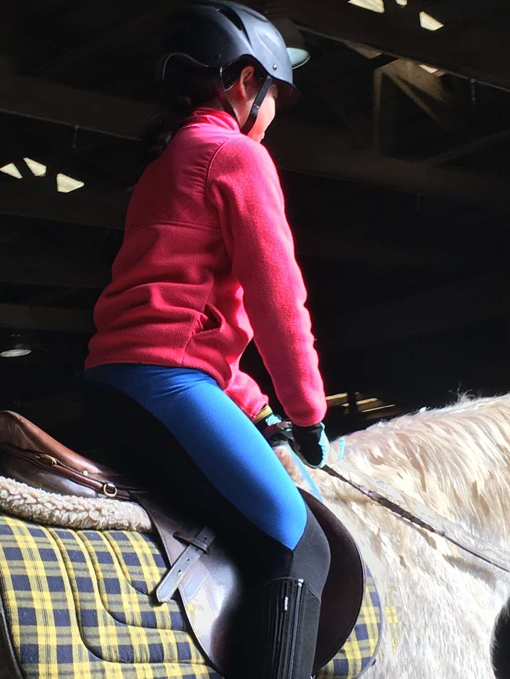 Misty Brae Farm LLC and Pony Club Riding Center | 40295 New Rd, Aldie, VA 20105, USA | Phone: (703) 403-6422