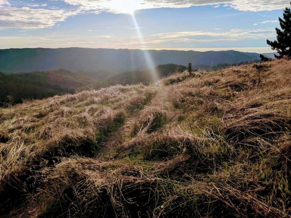 Long Ridge Open Space Preserve | La Honda, CA 94020, USA | Phone: (650) 691-1200