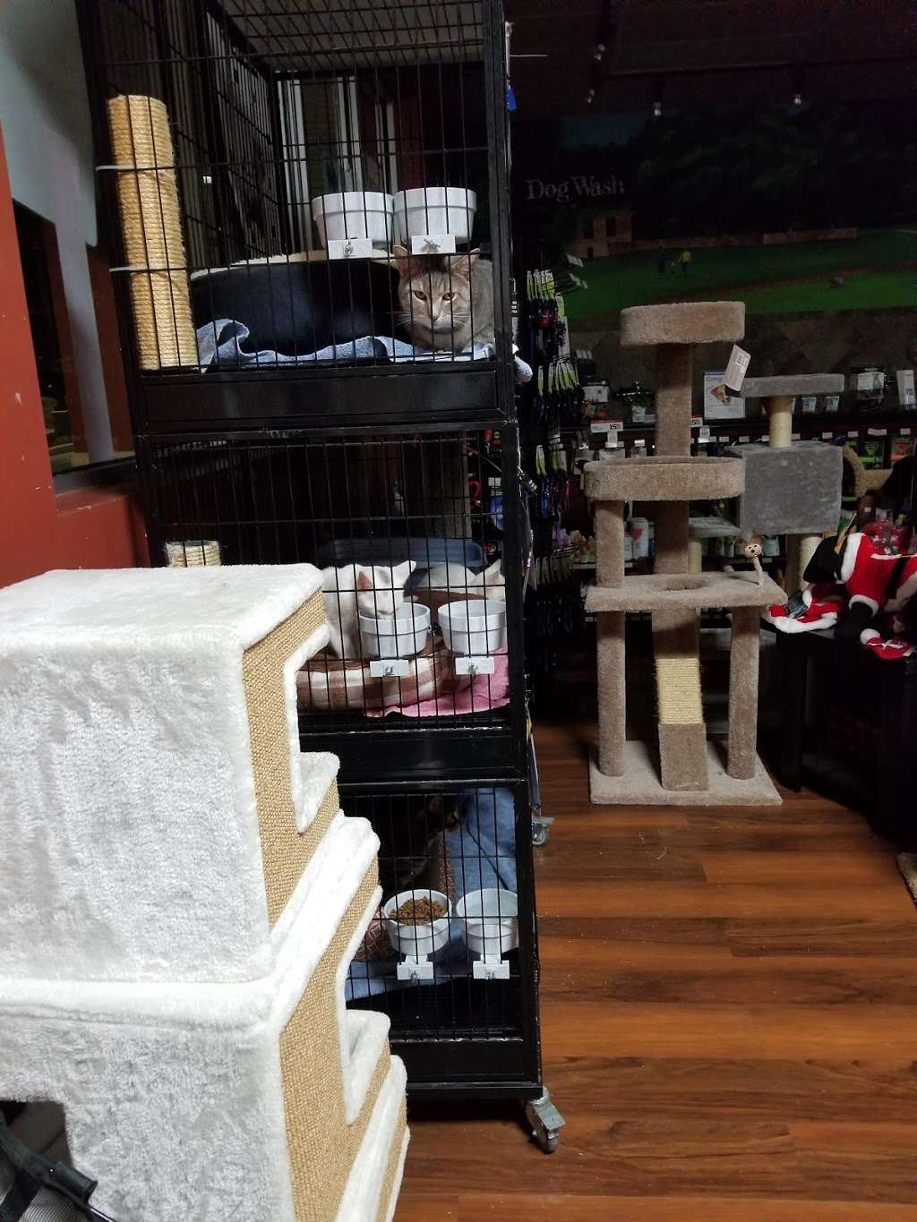 Pet Valu | 644 E Main St, Waynesboro, PA 17268, USA | Phone: (717) 387-5195