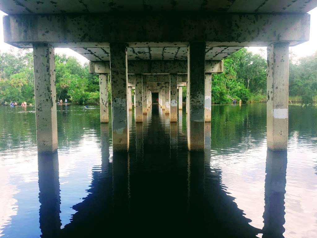 Alexander Springs Recreation Area | Florida, USA