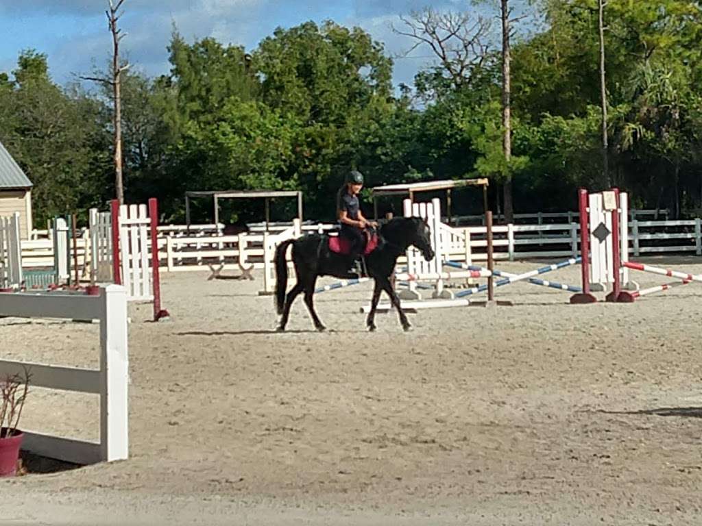 Acts2Acres Equestrian Center | 4000 NW 43rd St, Coconut Creek, FL 33073 | Phone: (954) 326-2528