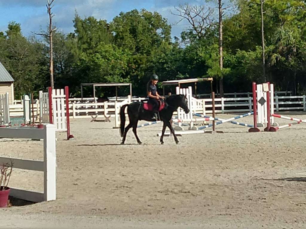 Acts2Acres Equestrian Center | 4000 NW 43rd St, Coconut Creek, FL 33073, USA | Phone: (954) 326-2528