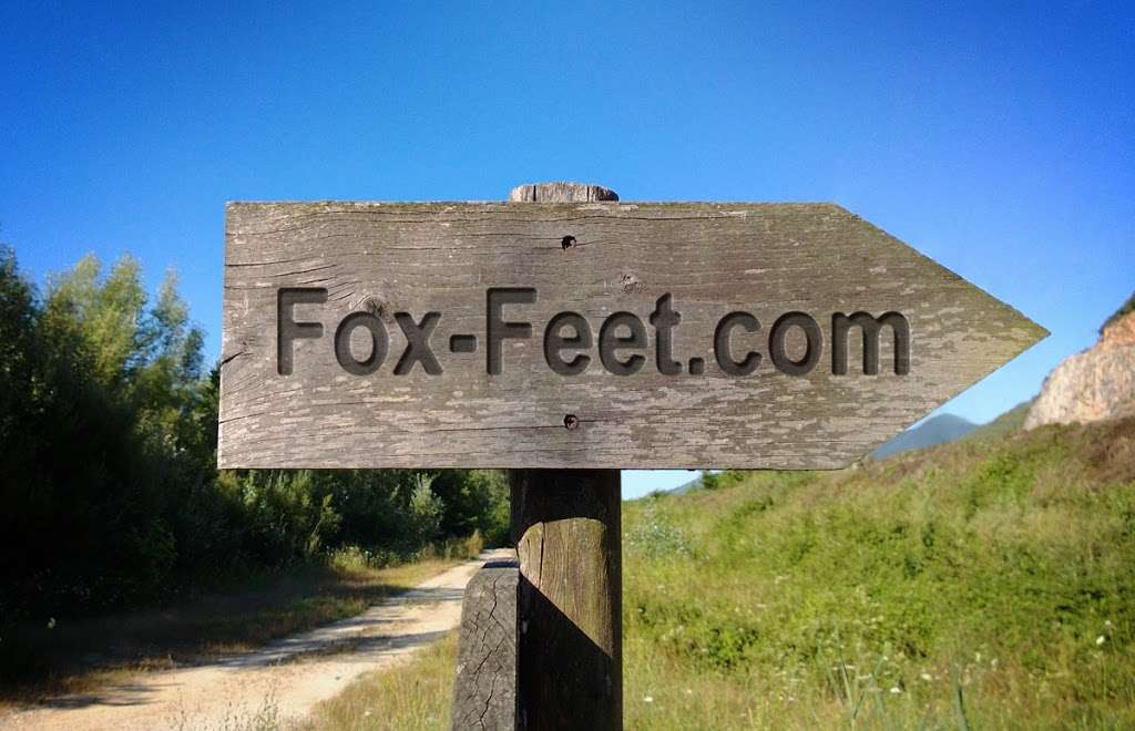 Fox Foot & Ankle | 2081 Ridge Rd #113, Minooka, IL 60447 | Phone: (815) 521-9347