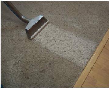 All Out Complete Carpet Care | 2400 Mammatus Dr, Sparks, NV 89441, USA | Phone: (775) 826-7158