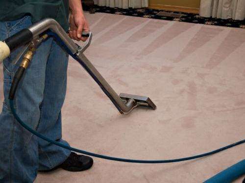 Bensalem Carpet Steamers | 838 Finch Dr, Bensalem, PA 19020, USA