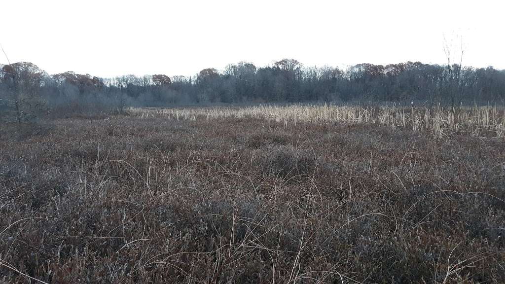 Mud Lake Bog Nature Preserve | 905 E Elm Valley Rd, Buchanan, MI 49107, USA