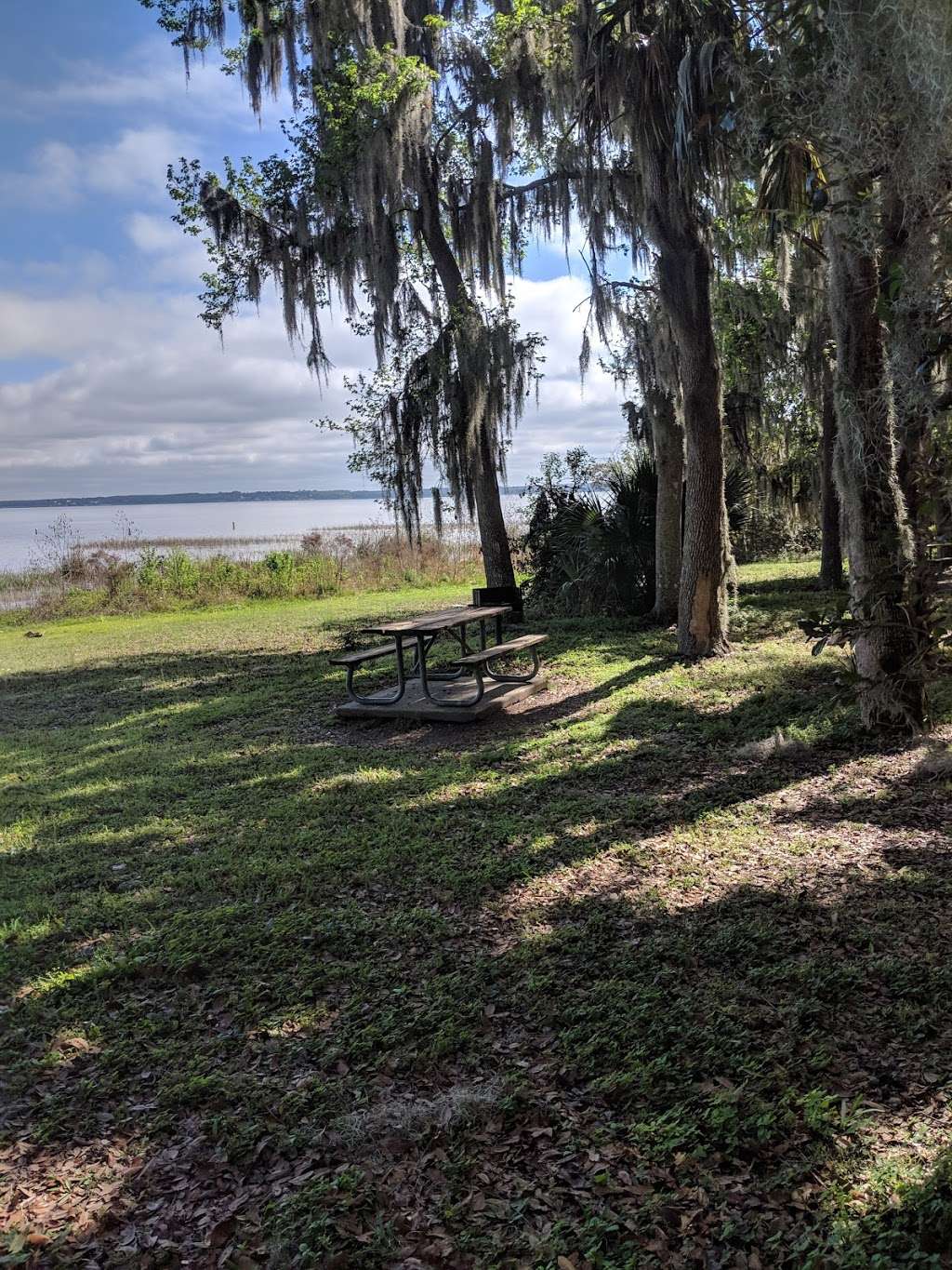 Carney Island Recreation & Conservation Area | 13275 SE 115th Ave, Ocklawaha, FL 32179, USA | Phone: (352) 671-8560