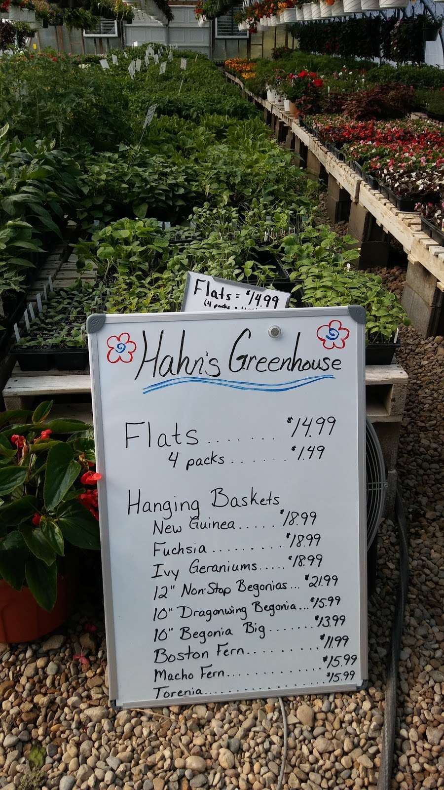 Hahns Greenhouse | 2132 N Sage Rd, Walkerton, IN 46574, USA | Phone: (574) 586-3097