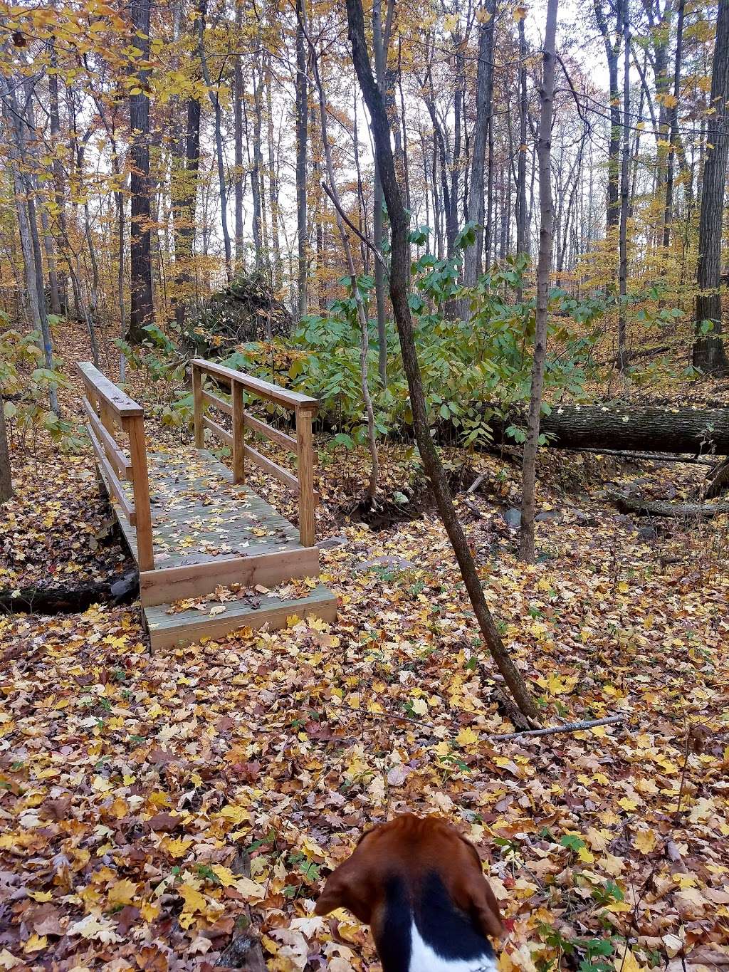 Fred & Dorothy Meyer Nature Preserve | Observatory Rd, Martinsville, IN 46151, USA