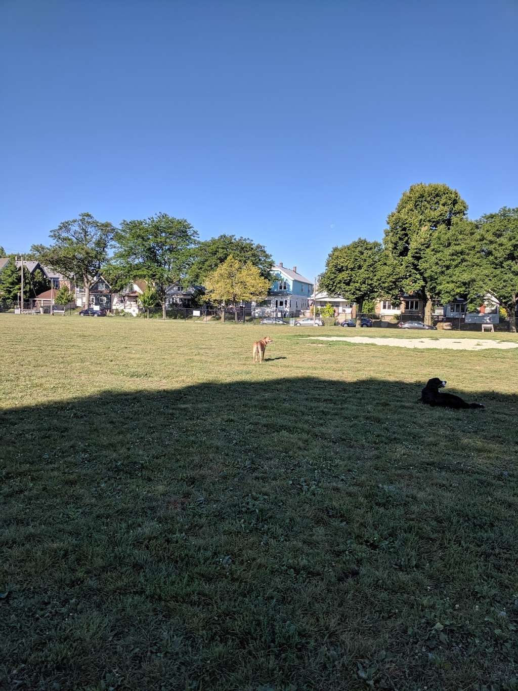 Rover West Dog Park | 3243 N Weil St, Milwaukee, WI 53212, USA | Phone: (414) 257-7275