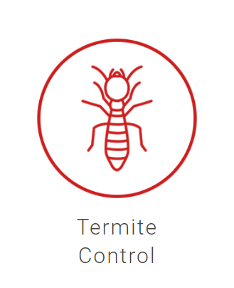 Solo Termite and Pest Control | 22600 Lambert St Ste 1004, Lake Forest, CA 92630, USA | Phone: (949) 855-8872