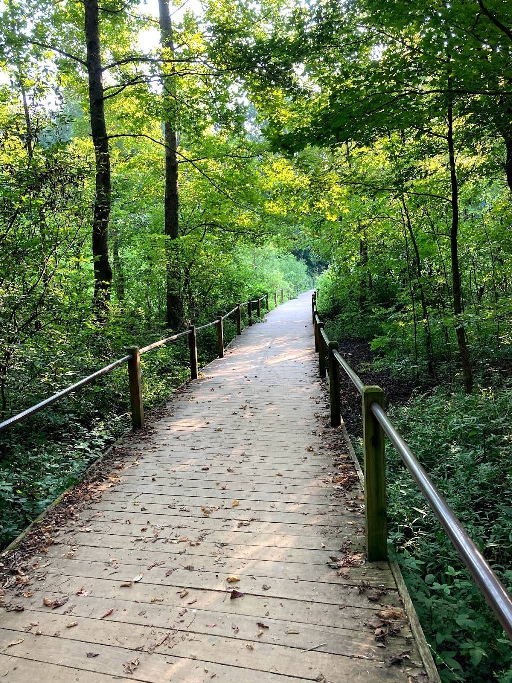 Wetlands area and elevated boardwalk | Heritage Park Trail, Smyrna, GA 30082, USA | Phone: (770) 298-9200