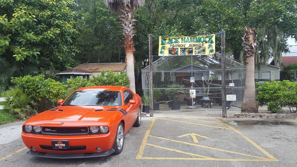 Black Hammock Airboat Rides | 2356 Black Hammock Fish Camp Rd, Oviedo, FL 32765 | Phone: (407) 365-1244