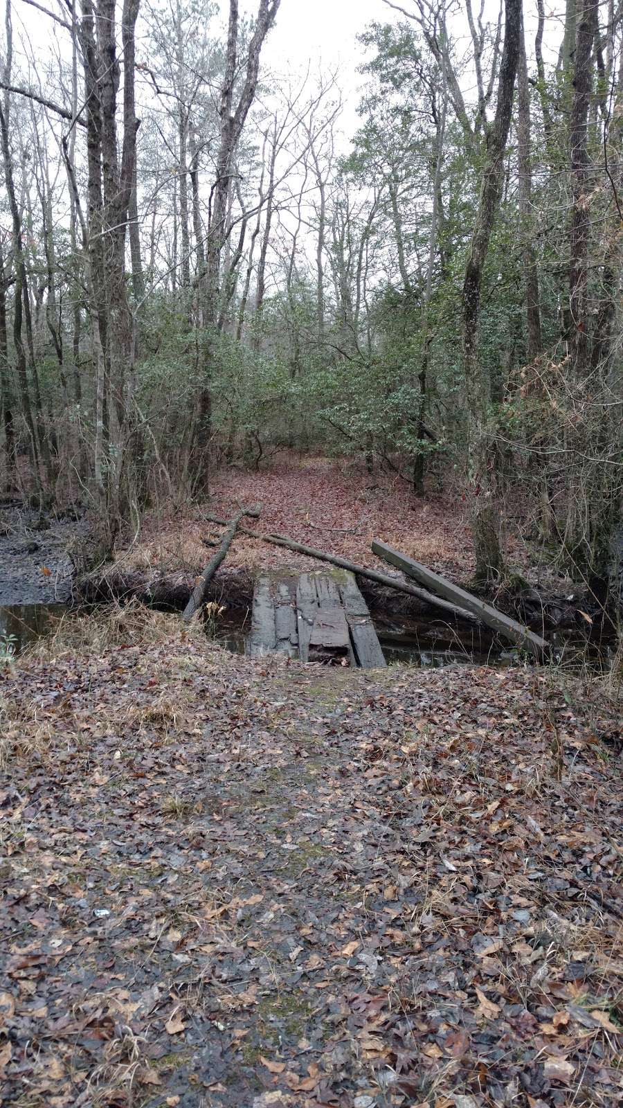 Phillips Landing Recreation Area | Laurel, DE 19956