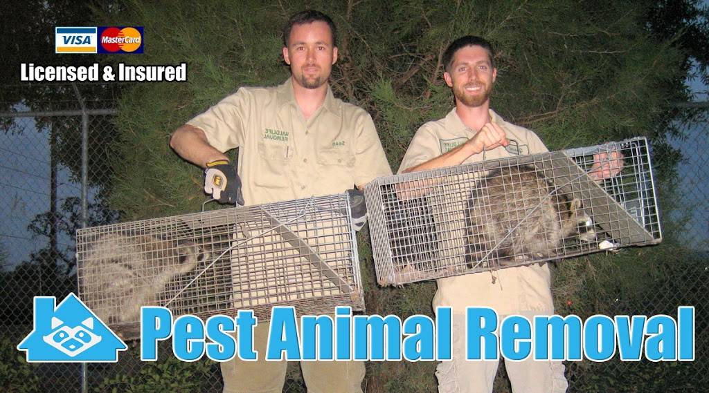 Pest Animal Removal Portland | 18061 SE Division St shop 1, Portland, OR 97233, USA | Phone: (503) 549-2010