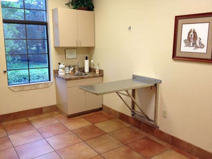 Seminole Trail Animal Hospital | 383 Vistawilla Dr, Winter Springs, FL 32708 | Phone: (407) 366-4486