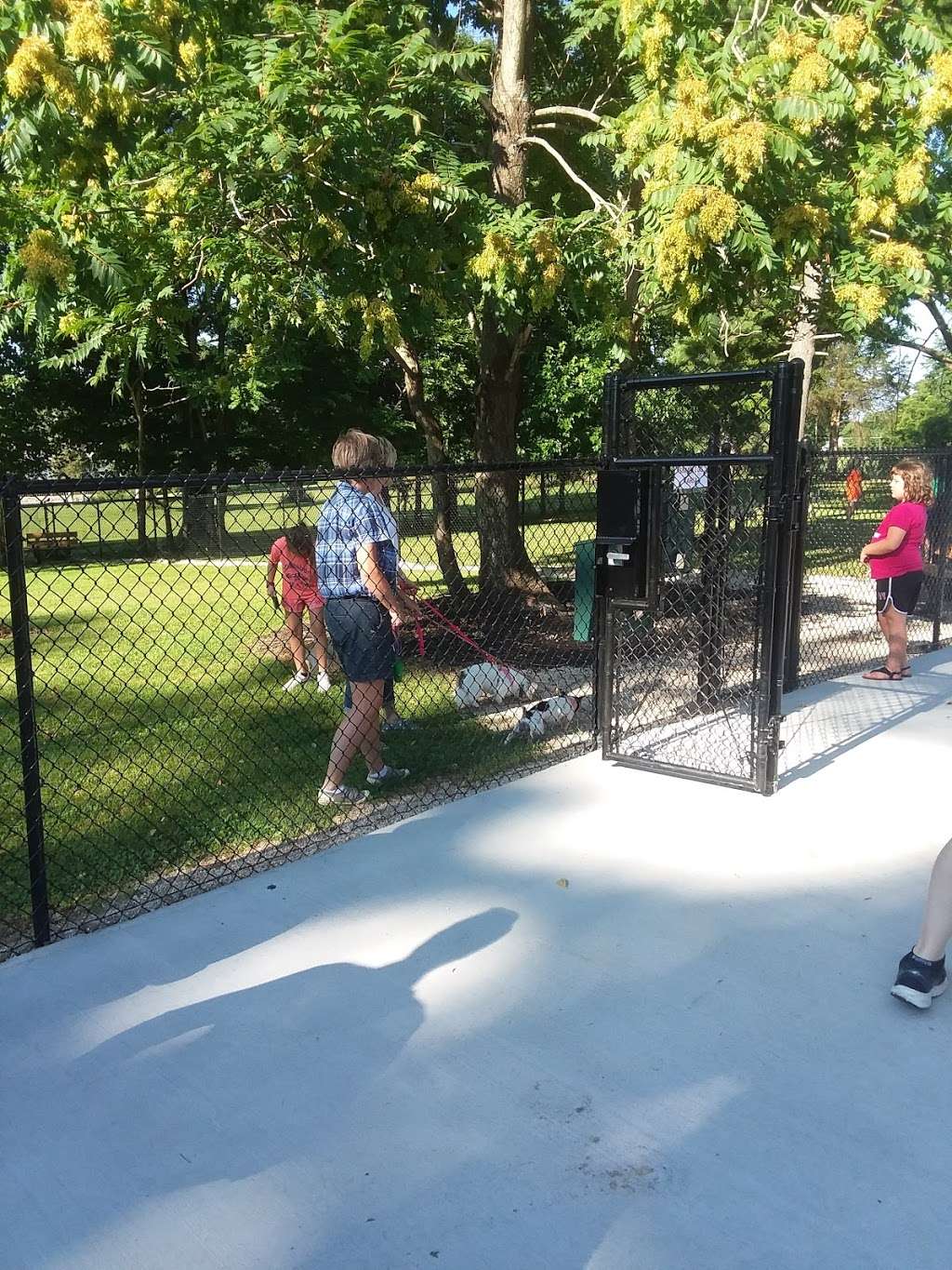 Tree City Bark Park | 1-185 E Base Rd, Greensburg, IN 47240, USA | Phone: (812) 663-8284