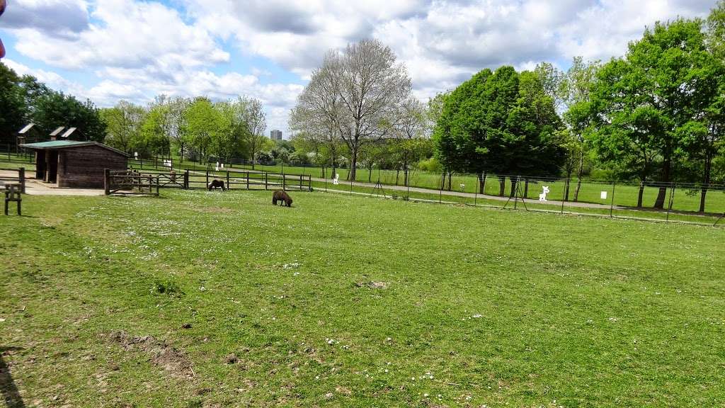 Hainault Forest Country Park | United Kingdom | Phone: 020 8501 2258