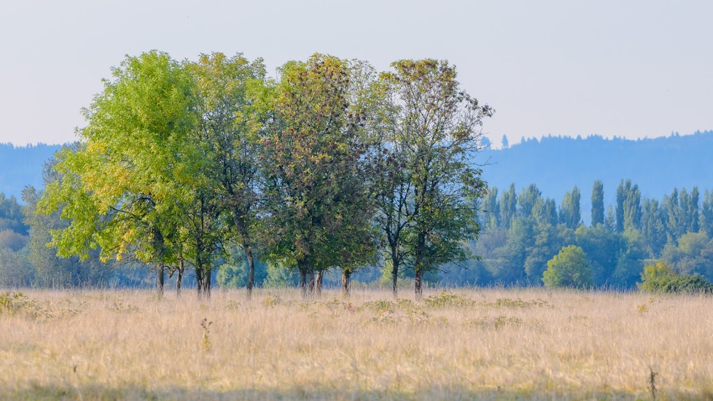 Sauvie Island Wildlife Area | Portland, OR 97231, USA | Phone: (503) 621-3488