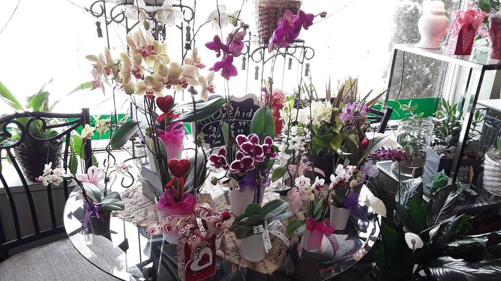 Grande Flowers | 1433 E Capitol Dr, Shorewood, WI 53211, USA | Phone: (414) 332-3070