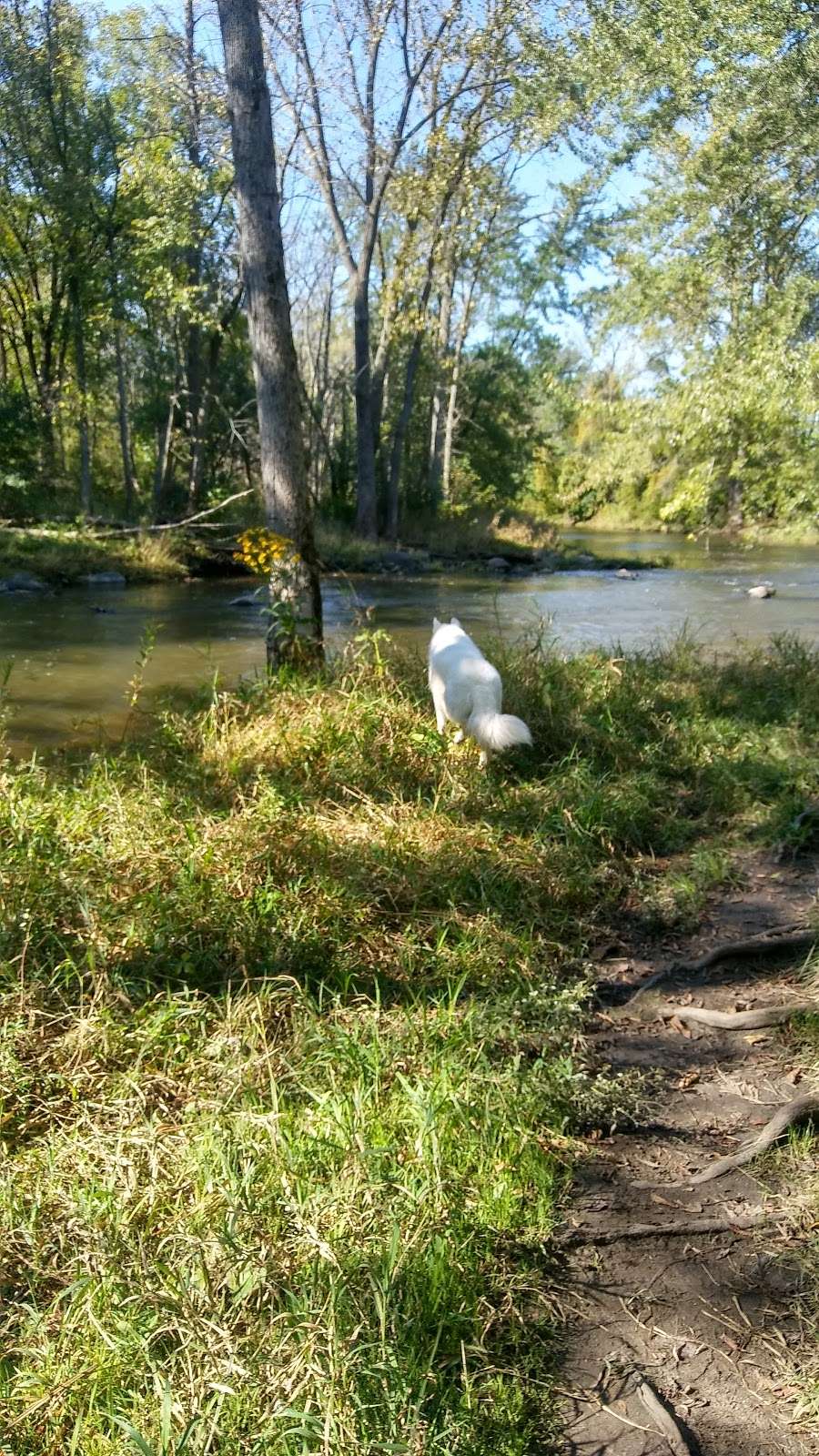 Caledonia Dog Park, Pond | Racine, WI 53402, USA | Phone: (262) 886-8440