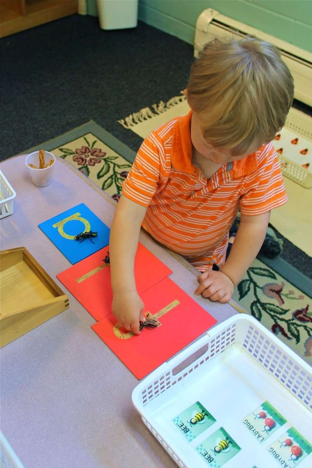 Our Montessori School of Carmel, NY | 4 Glenna Dr, Carmel Hamlet, NY 10512, USA | Phone: (914) 962-9466