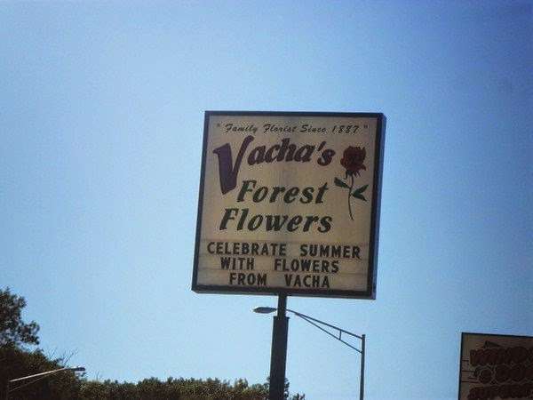 Vachas Forest Flowers | 6260 W 159th St, Oak Forest, IL 60452 | Phone: (708) 687-6668