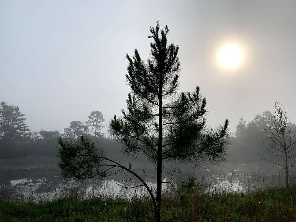 Hidden Pond | Juniper Springs Recreation Area, Florida 40, Silver Springs, FL, Astor, FL 32102, USA