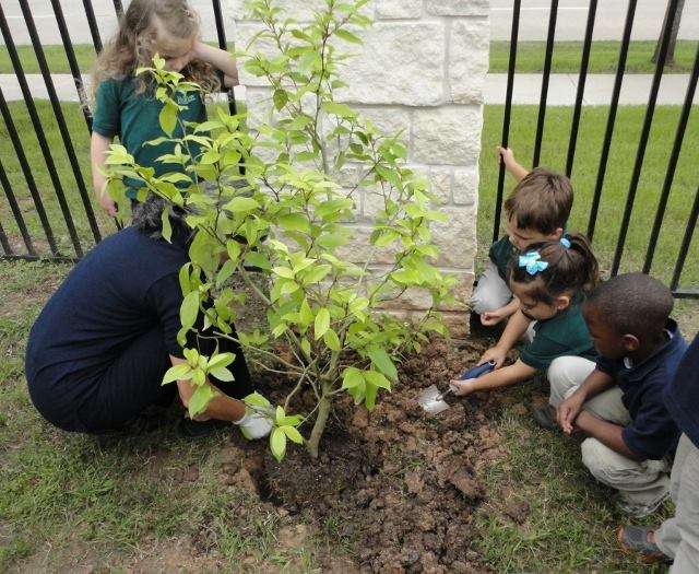 Meadow Montessori School | 7860 W Grand Pkwy, Richmond, TX 77406 | Phone: (281) 377-3175