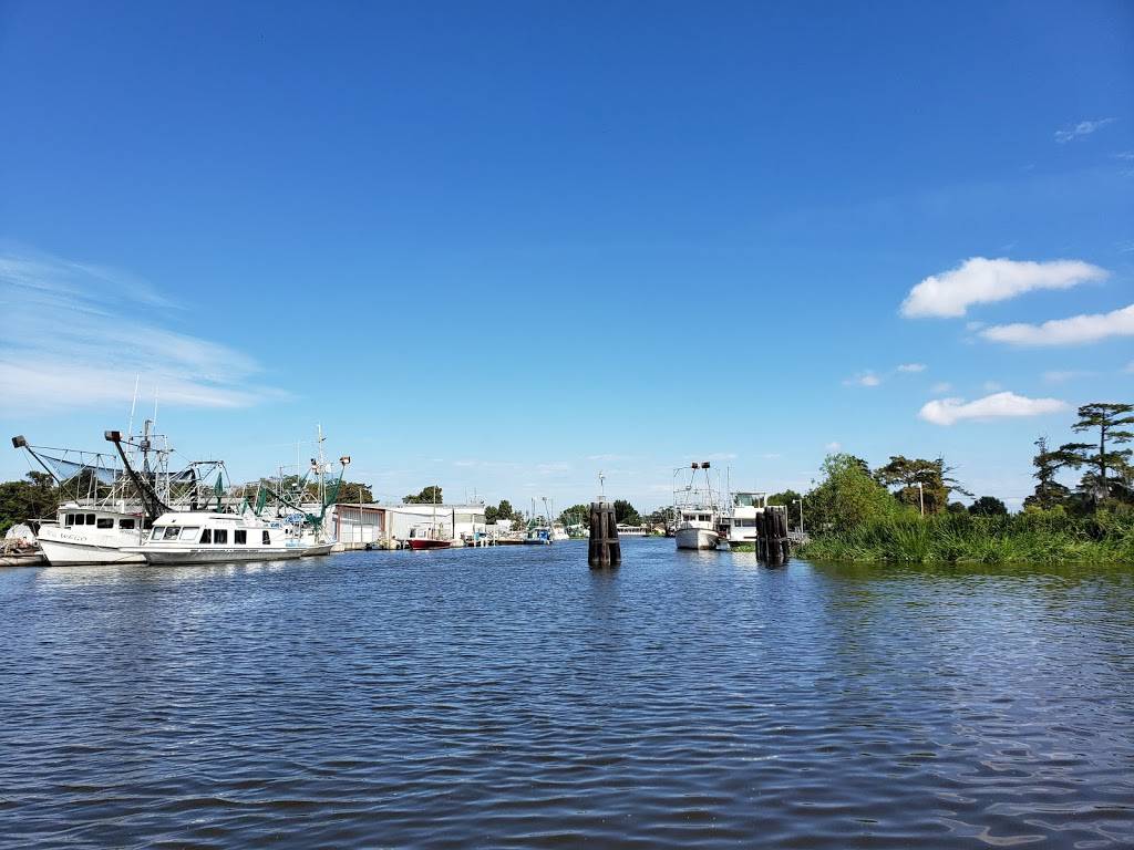 Bayou Segnette State Park | 7777 Westbank Expy, Westwego, LA 70094, USA | Phone: (504) 736-7140