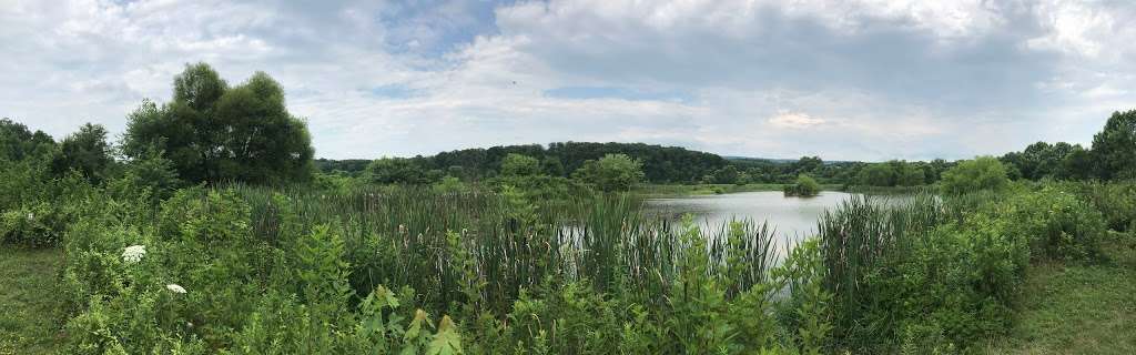 Stauffers Marsh Nature Preserve | Back Creek Valley Rd, Hedgesville, WV 25427, USA | Phone: (681) 252-1387