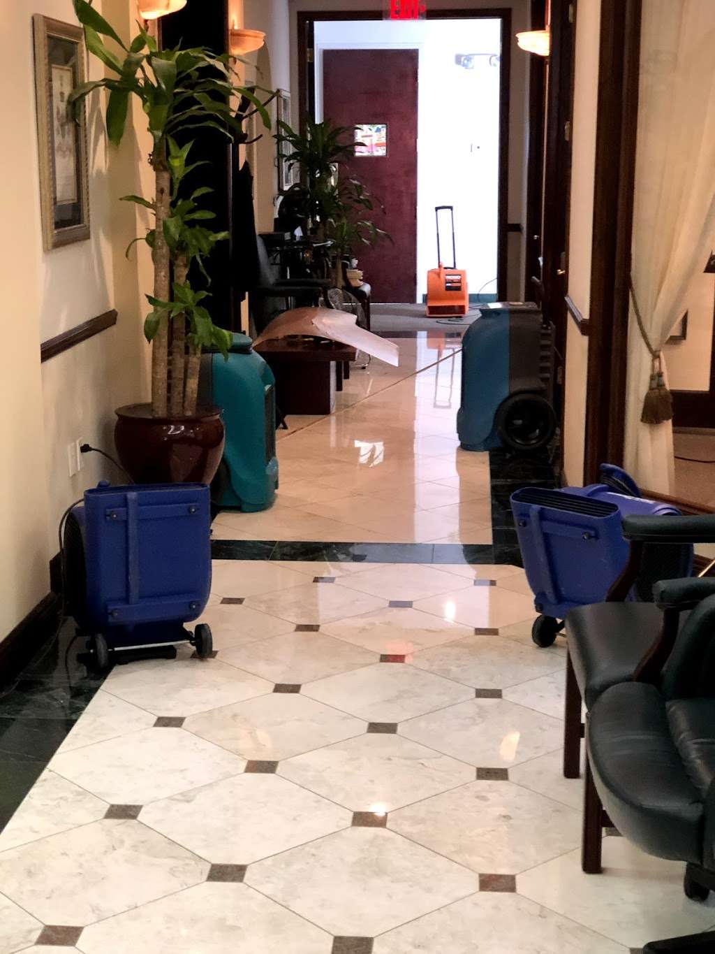 Coral Gables Carpet Cleaning & Restoration | 8430 SW 8th St, Miami, FL 33144 | Phone: (305) 771-1028