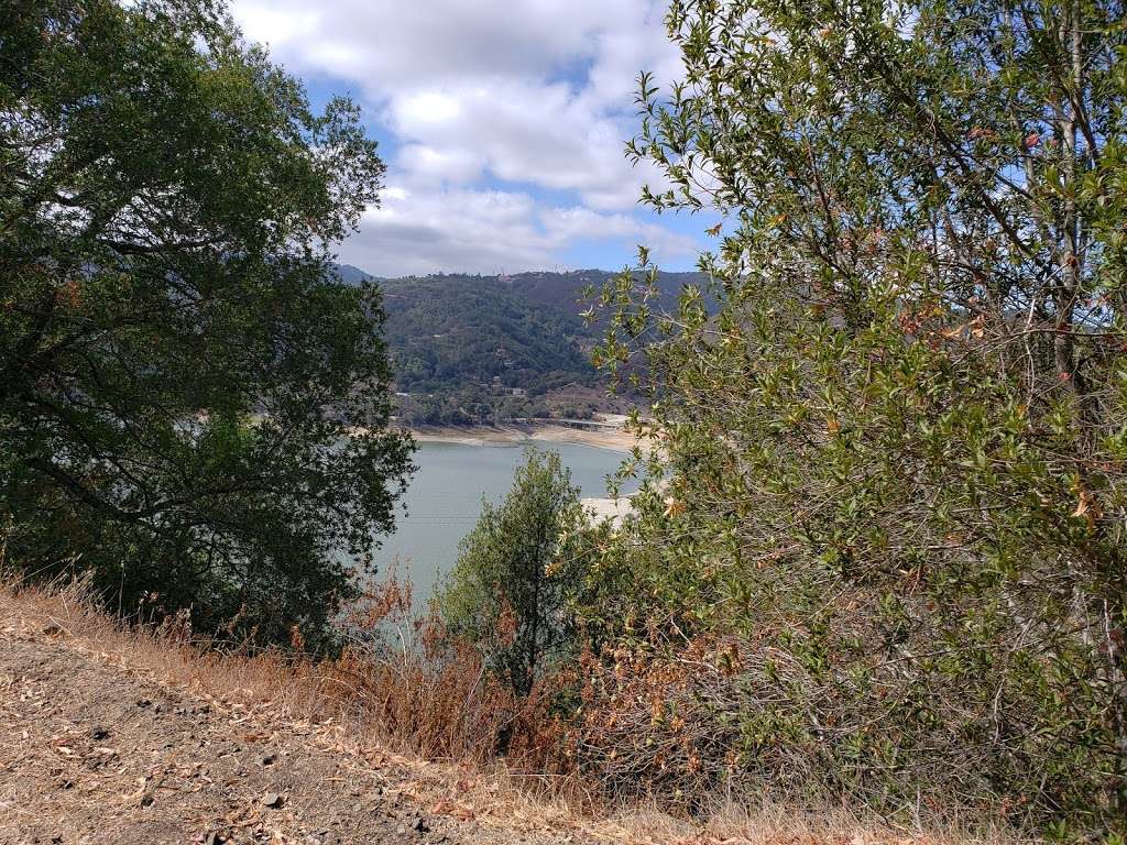 Priest Rock Trail trailhead, Los Gatos CA | Alma Bridge Rd & Priest Rock Trail, Los Gatos, CA 95033, USA