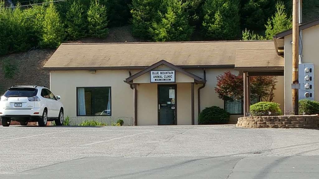 Blue Mountain Animal Clinic | 2077 W Penn Pike, New Ringgold, PA 17960, USA | Phone: (570) 386-5902