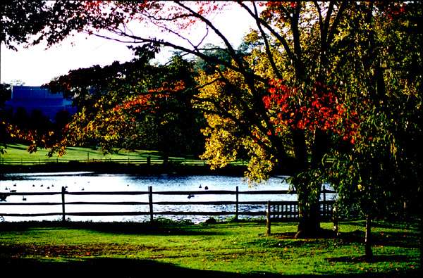 Haverford College Duck Pond | Duck Pond Ln, Haverford, PA 19041, USA | Phone: (610) 896-1000