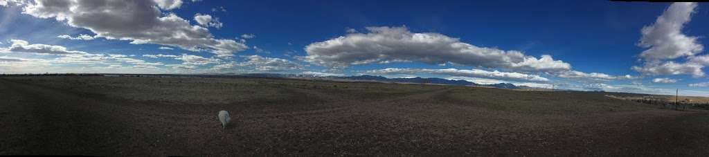 OPEN Space Offleash Dog Area. | 11701-12731 W 100th Ave, Westminster, CO 80005, USA