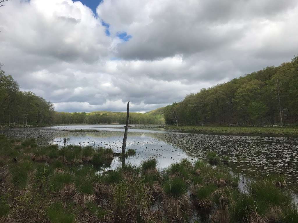 Bennetts Pond State Park | 550-698 Bennetts Farm Rd, Ridgefield, CT 06877, USA